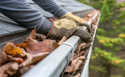 Coastal Shine Gutter Cleaning in Easton MD